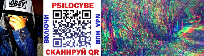 Псилоцибиновые грибы Psilocybine cubensis  Спас-Деменск 